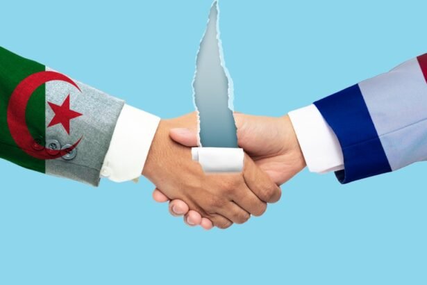 Franco-Algerian Relations: Experts Analyze Growing Rift