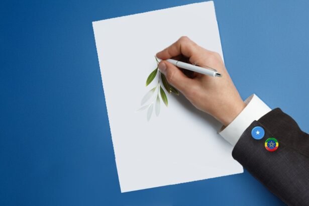 Somalia and Ethiopia Mend Fences—Will It Last?