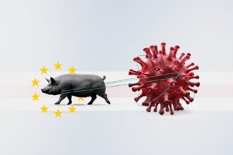 Cape Verde Battles Swine Fever Amid Rapid Tourism Growth