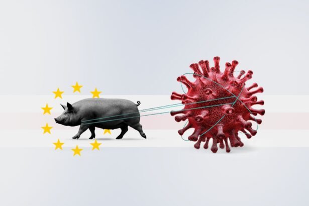 Cape Verde Battles Swine Fever Amid Rapid Tourism Growth