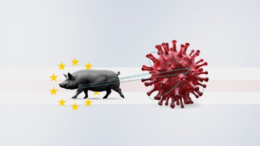 Cape Verde Battles Swine Fever Amid Rapid Tourism Growth - Africalix Cape Verde Battles Swine Fever Amid Rapid Tourism Growth
