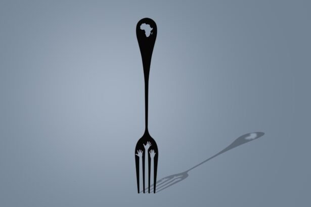 Looming Food Insecurity Threatens Central Africa and the Sahel