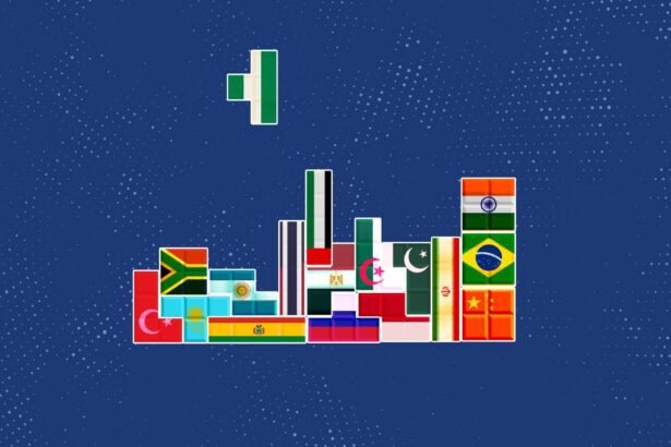 Nigeria's BRICS Bid: Strategic Move or Diplomatic Gamble?