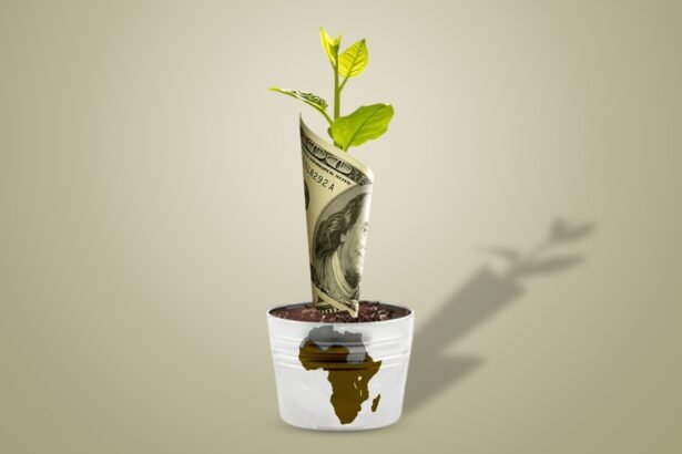 Sub-Saharan CEOs Remain Optimistic About Growth Amid Challenges