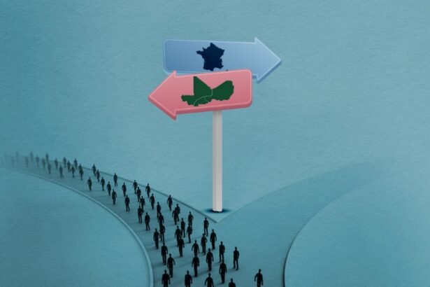 Burkina Faso, Mali, Niger Chart New Path Amid Francophonie Breakup