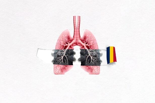 Chad's Pollution Crisis The Worst in the World Right Now