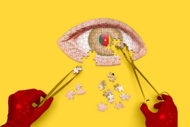 China and Cameroon Partner for Clearer Vision in New Project