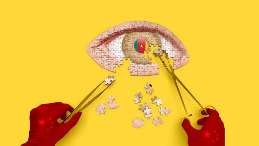 China and Cameroon Partner for Clearer Vision in New Project - Africalix China and Cameroon Partner for Clearer Vision in New Project