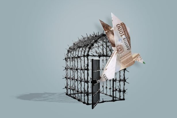 EFCC Seizes $500 Million Naira Notes and Looters Exposed