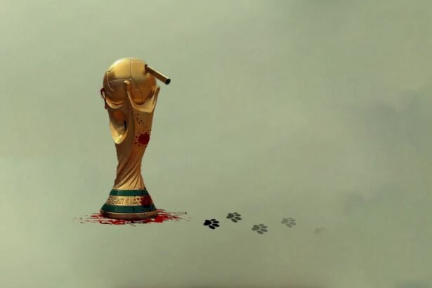 Morocco's Canine Conundrum A Challenge Ahead of 2030 World Cup