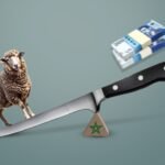 Morocco’s Eid Dilemma Facing a Sheep Shortage and Sacrifice
