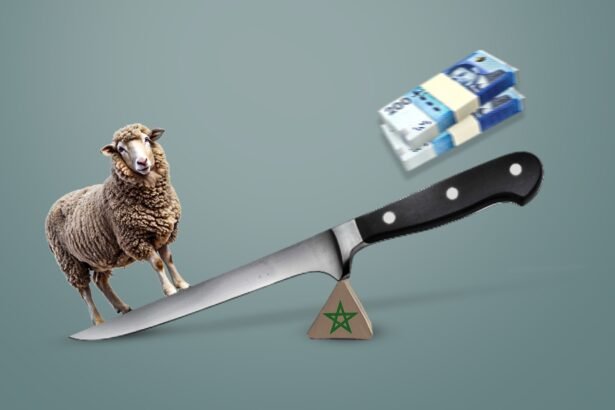 Morocco’s Eid Dilemma Facing a Sheep Shortage and Sacrifice