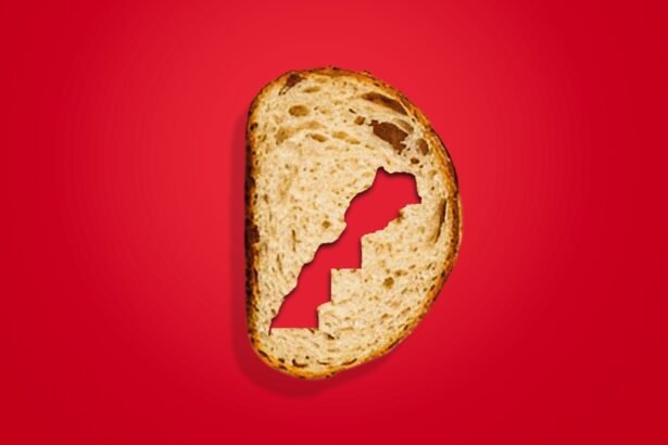 Morocco’s Wheat Subsidies A Lifeline Amid Drought and Crisis