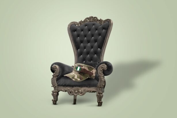 Niger's 5-Year Plan for Democracy Controversy and Debate