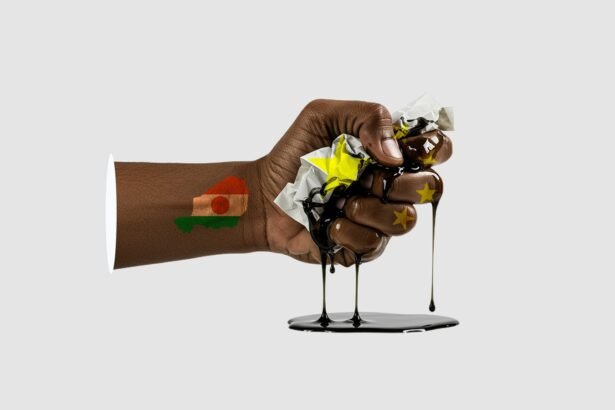 Oil, Exile, and Paychecks Niger’s Stand Against Wage Inequality