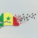 Scandal Unfolds Mayor, Boat, and a One-Way Ticket to Trouble