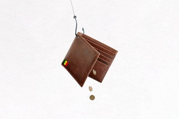 Senegal Faces Financial Strain as Economic Challenges Mount