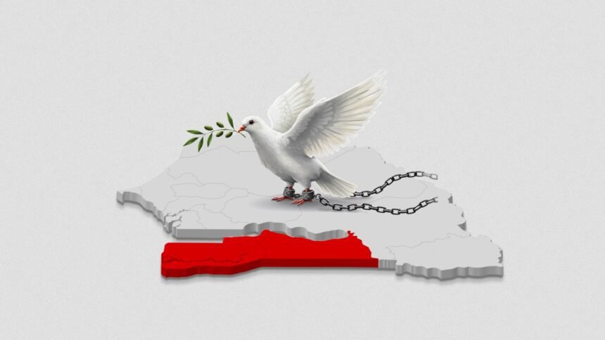 Senegals Peace Gamble Is the Casamance Truce Sustainable - Africalix Senegal's Peace Gamble Is the Casamance Truce Sustainable