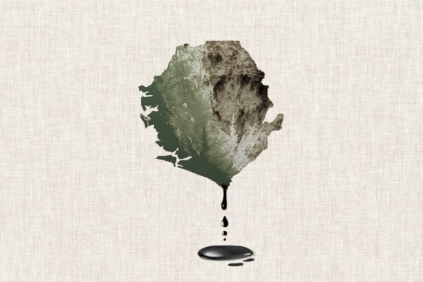 Sierra Leone’s Fuel Shortage A Struggle for Survival