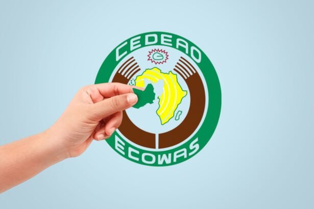 West Africa’s ‘Sahexit’ The High Stakes for Mali, Burkina, Niger