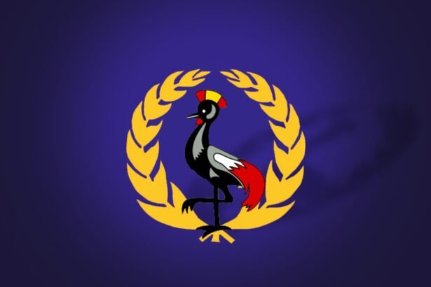 Ethiopia's Diplomatic Gains with Uganda Clouded by Eritrean Strains