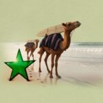 Surfing in Morocco A Booming Destination for Wave Seekers