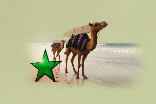 Surfing in Morocco A Booming Destination for Wave Seekers