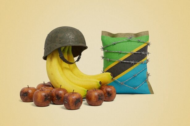 Tanzania’s Banana Ban Southern Africa’s New Trade Tensions