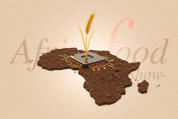 Africa Food Show 2025 Cape Town Hosts Bold New Vision