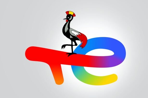 EACOP Faces Resistance as Rights and Climate Clash