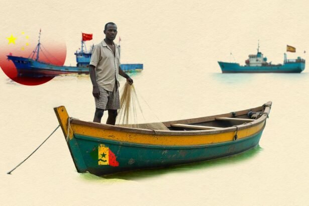 Empty Nets in Senegal The Human Cost of Overfishing