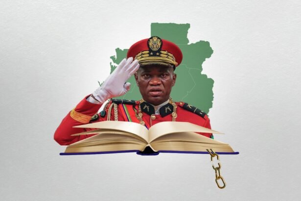 New Leadership, New Vision Gabon’s Political Shift