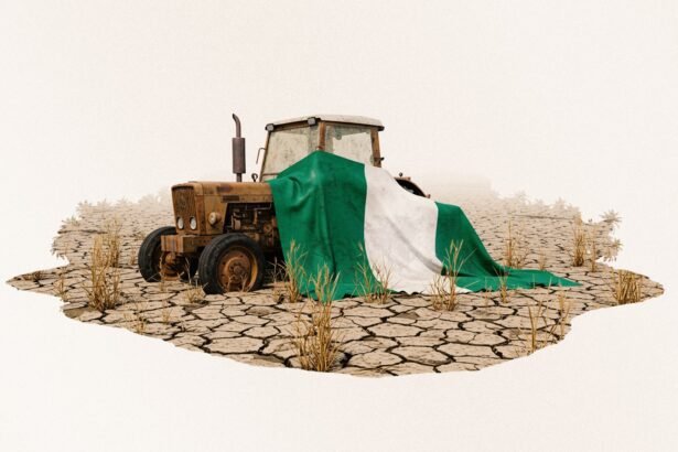 Nigeria’s Land Dries Up as Climate Threat Grows Urgent