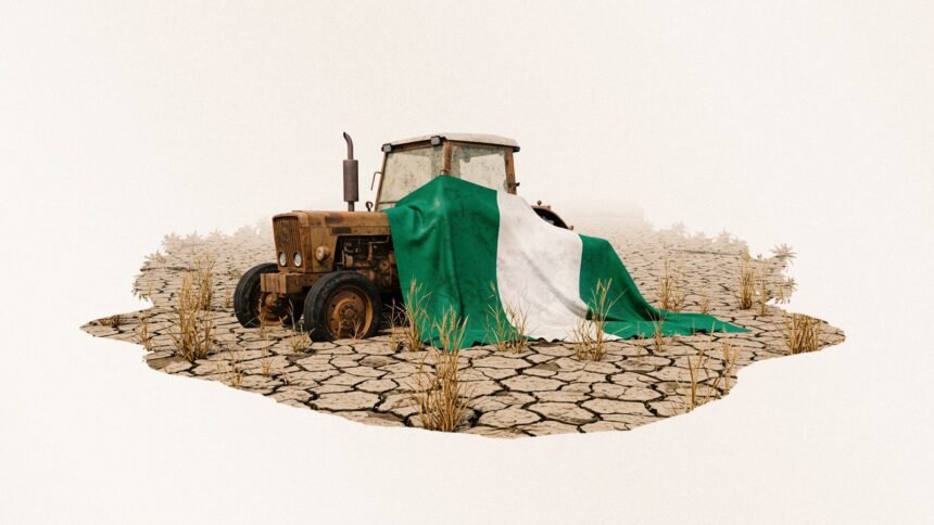 Nigerias Land Dries Up as Climate Threat Grows Urgent - Africalix Nigeria’s Land Dries Up as Climate Threat Grows Urgent