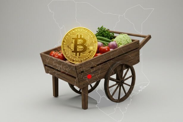 Bitcoin in Kibera From Shilling to Satoshi on the Streets