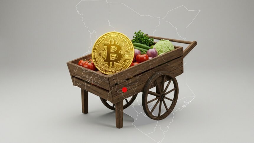 Bitcoin in Kibera From Shilling to Satoshi on the Streets - Africalix Bitcoin in Kibera From Shilling to Satoshi on the Streets
