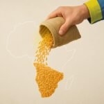 Grain, goodwill and geopolitics Ukraine hustles for hearts in Africa