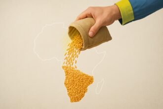 Grain, goodwill and geopolitics Ukraine hustles for hearts in Africa