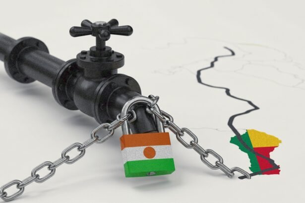 Oil and Ultimatums Niger’s Pipeline Standoff with Benin