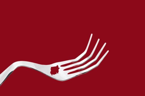 Sudan’s Crisis Deepens as World Turns a Blind Eye