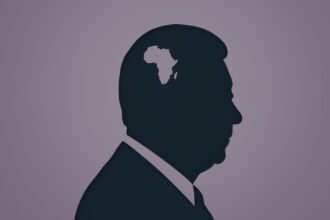 The International Organization for Mediation A New Path for Global and African Justice