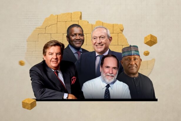 Awakening Africa: Entrepreneurs Driving Unity & Growth