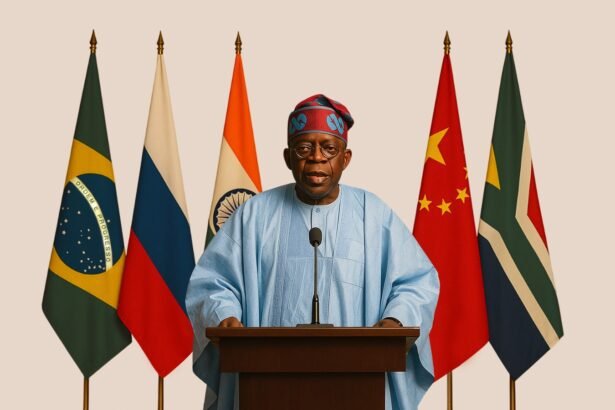 BRICS and Mortar Tinubu Wants to Renovate the World Order