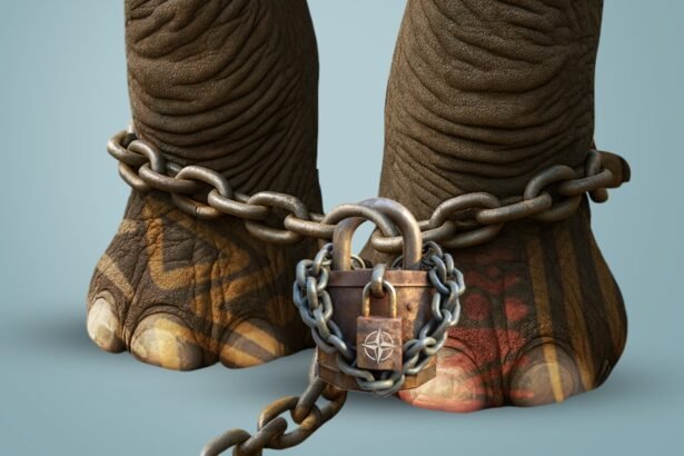 Pan-African Perspectives on NATO Between Sovereignty and Security in a Contested Alliance