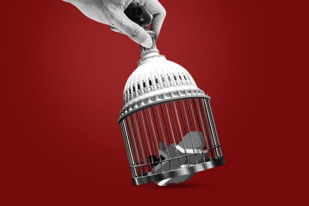 Sanction and Sensibility When Morality Meets Muscle in Washington