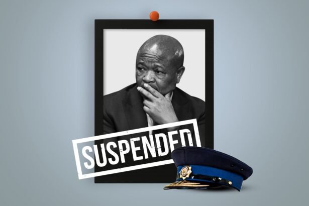 South Africa's Police Minister Finds Himself on the Wrong Side of the Law