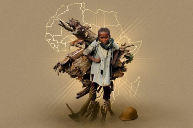 The Exploitation of Africa's Future Child Labor Through a Pan-Africanist Lens
