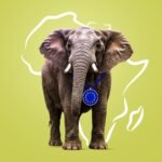 Threads of Unity Weaving West Africa and Europe Together