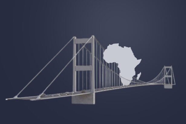 Turkey and Africa Navigating Partnerships in the Spirit of Pan-Africanism