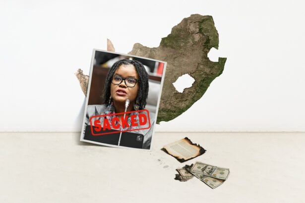 A Minister Falls, a Budget Passes, and Ramaphosa Lives to Fight Another Day